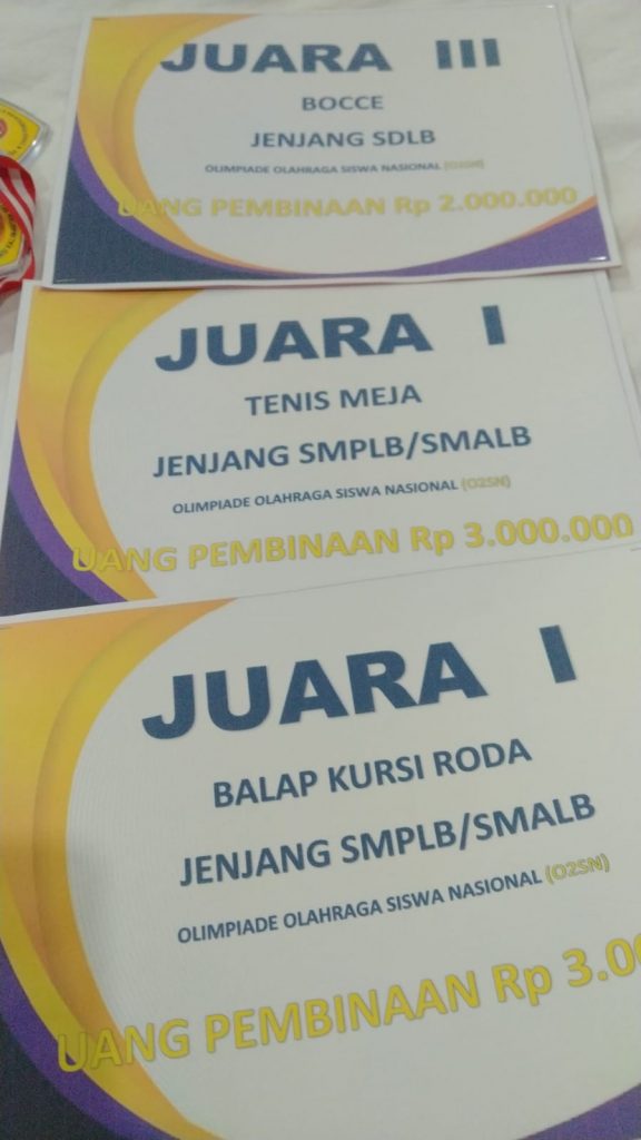 sertifikat juara